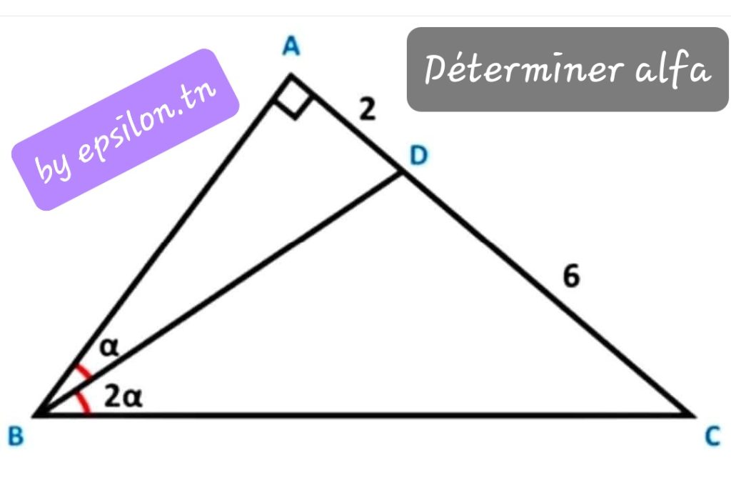 Triangle droit